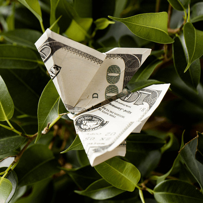 Power of $1,500 placeholder